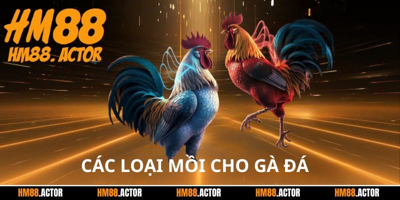  Các loại mồi cho gà đá là gì?